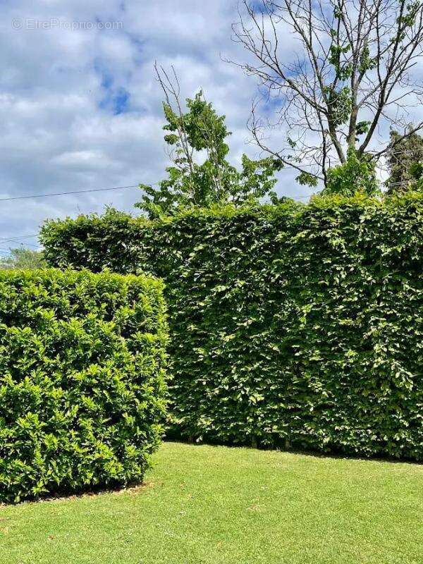 Maison à DOL-DE-BRETAGNE