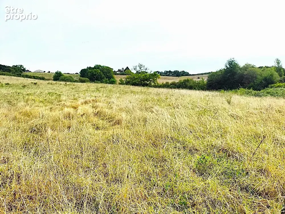 Terrain 267 883 m² à vendre à Margouet-Meymes (32290) - photo 3