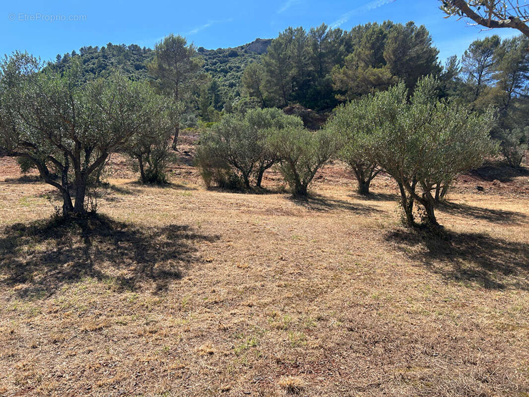 Terrain à GONFARON