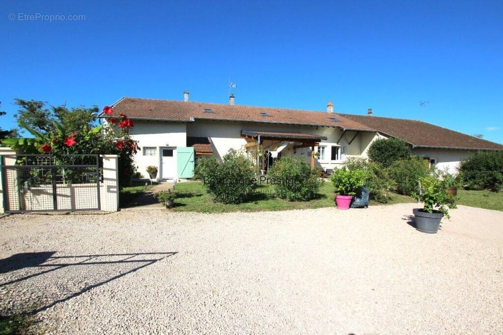Maison à TOURNUS