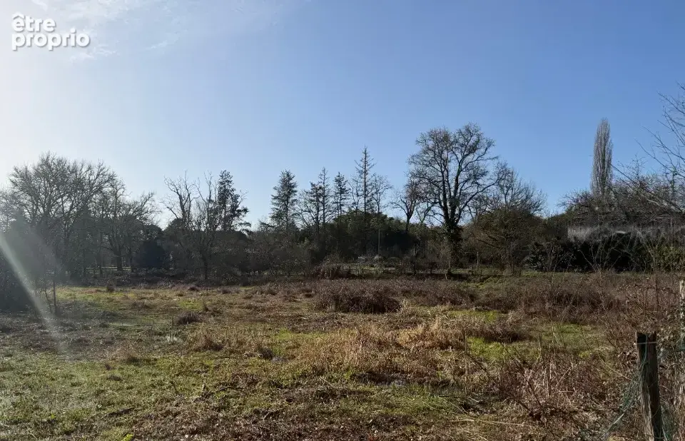 Terrain à NOAILLAN