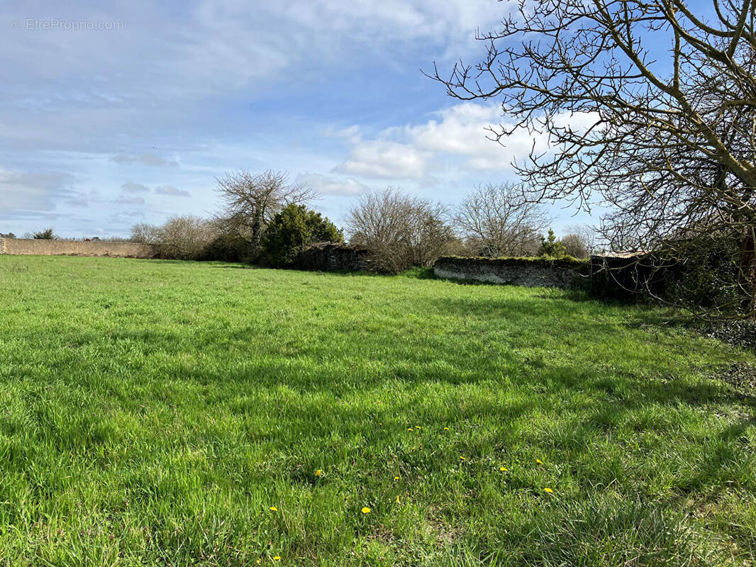 Terrain à MONTS-SUR-GUESNES