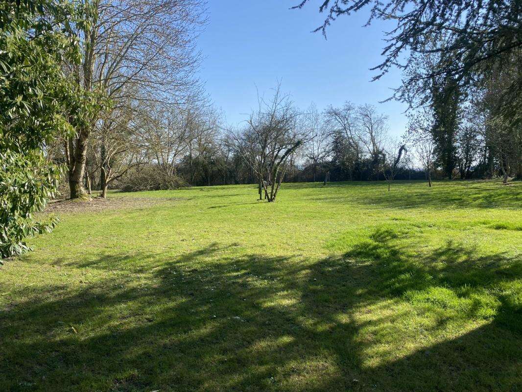 Longère en pleine campagne proche Bellême sur 2ha - photo 28