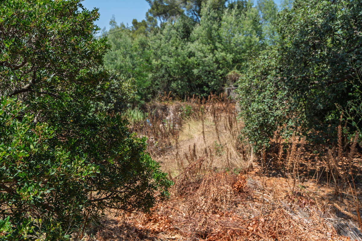 Propriété à réhabiliter dans un environnement préservé en zone A secteur EVESCAT - GAUMIN - photo 12