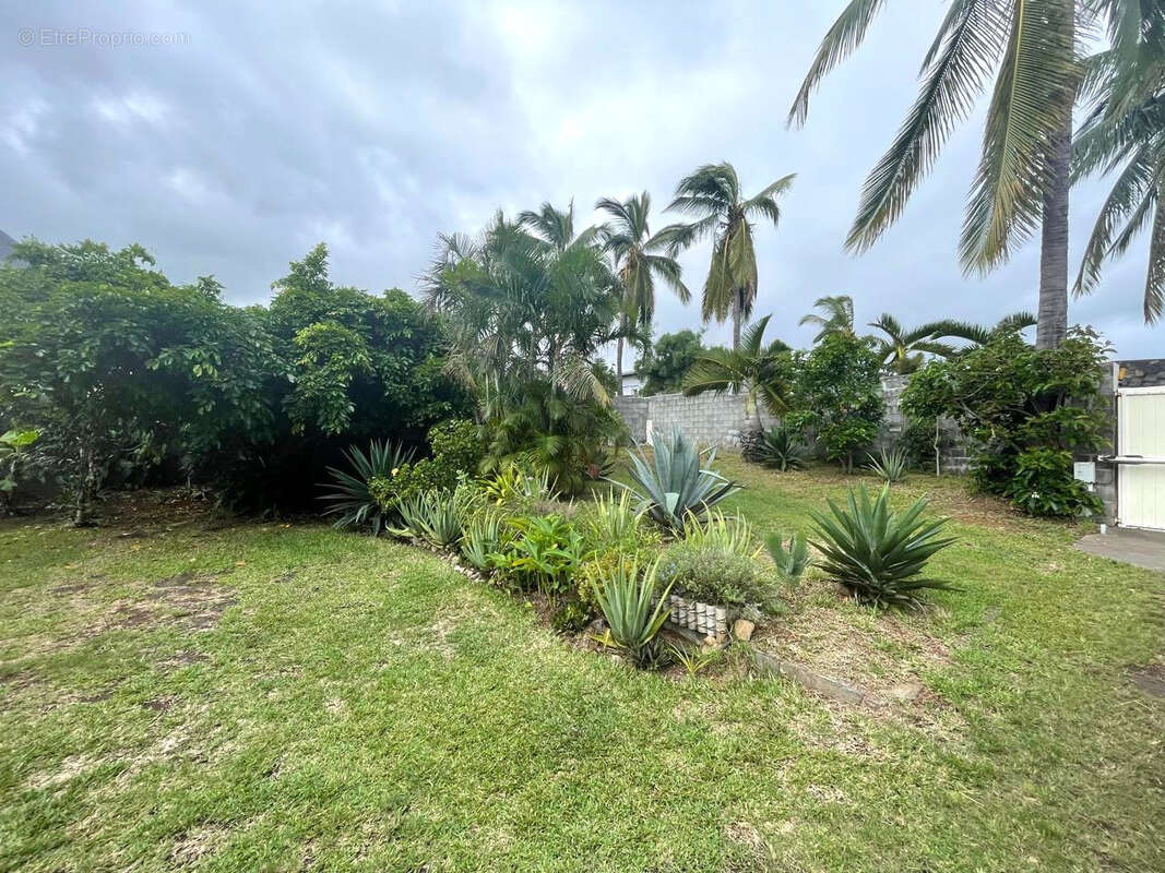 Maison à SAINT-LOUIS