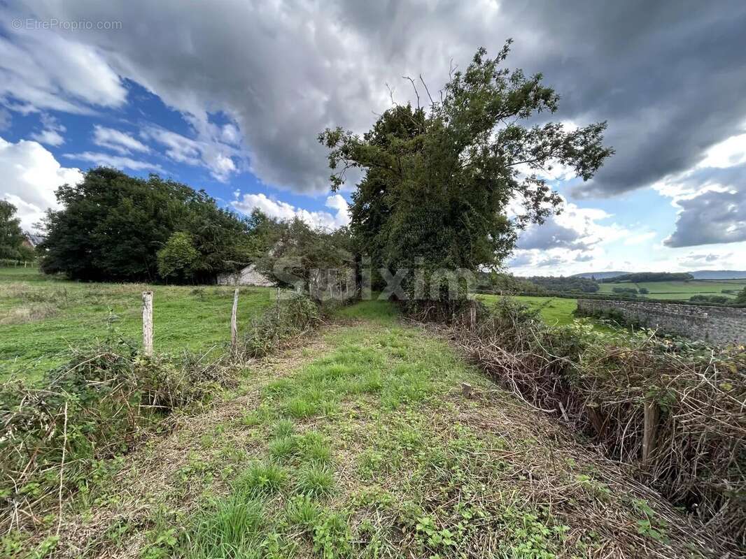 Terrain à QUARRE-LES-TOMBES