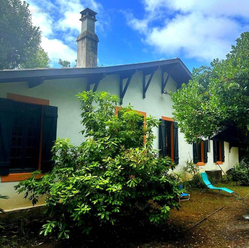 VUE DE DOS - Maison à LANTON