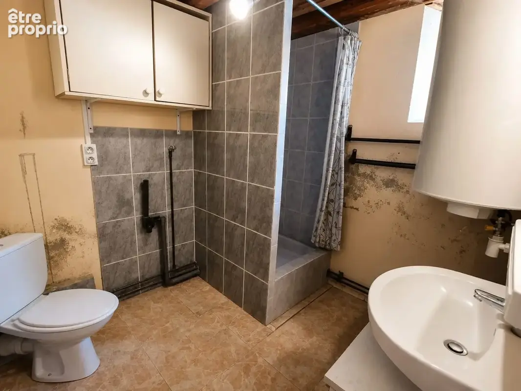 Maison 73 m² à Folles  - photo 6