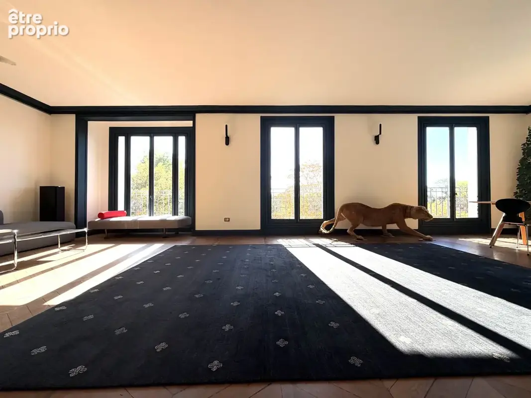 163m2 - Expo plein SUD OUEST sur la canopée du Parc des Buttes-Chaumont - photo 6