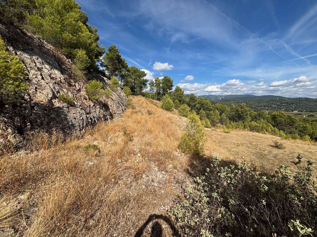 Figanières – terrain agricole et forestier de plus de 9 hectares - photo 6