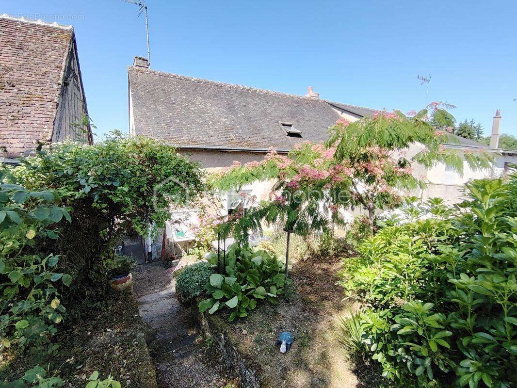 Maison à NEUVILLE-SUR-BRENNE