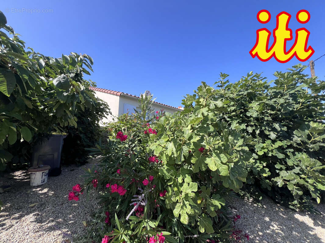 Maison 88 m² à Les Sables-D'olonne  - photo 7