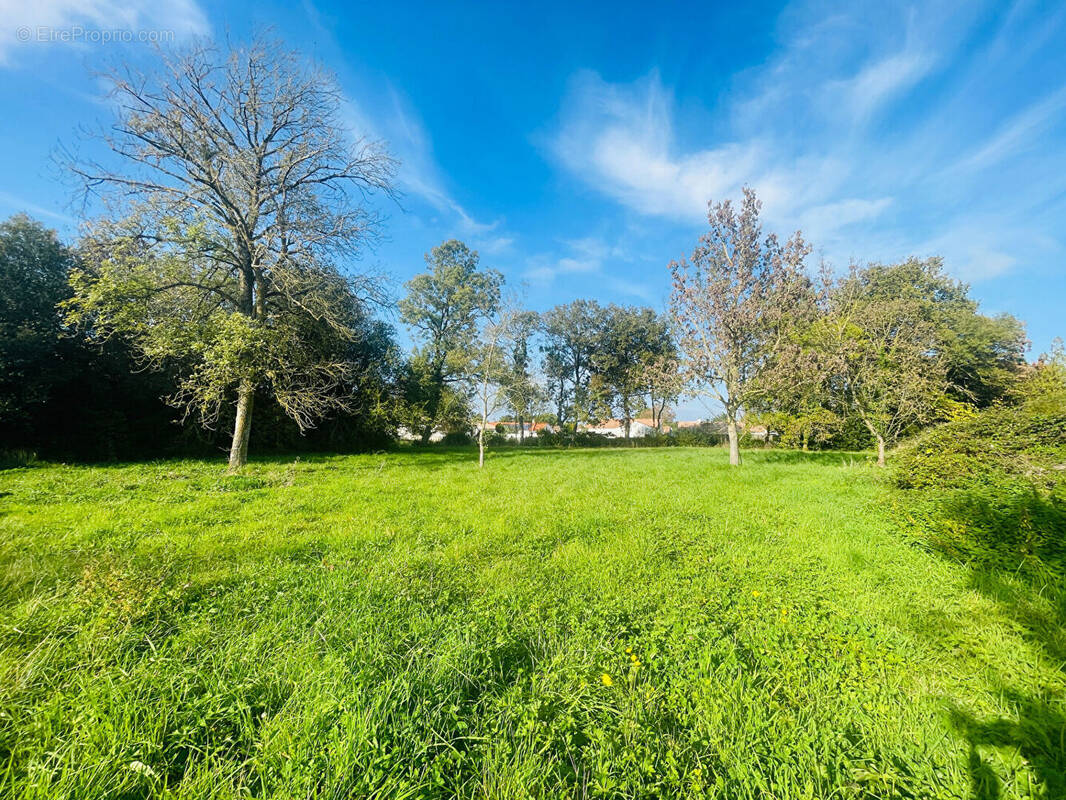Terrain à COMMEQUIERS