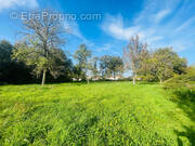 Terrain à COMMEQUIERS
