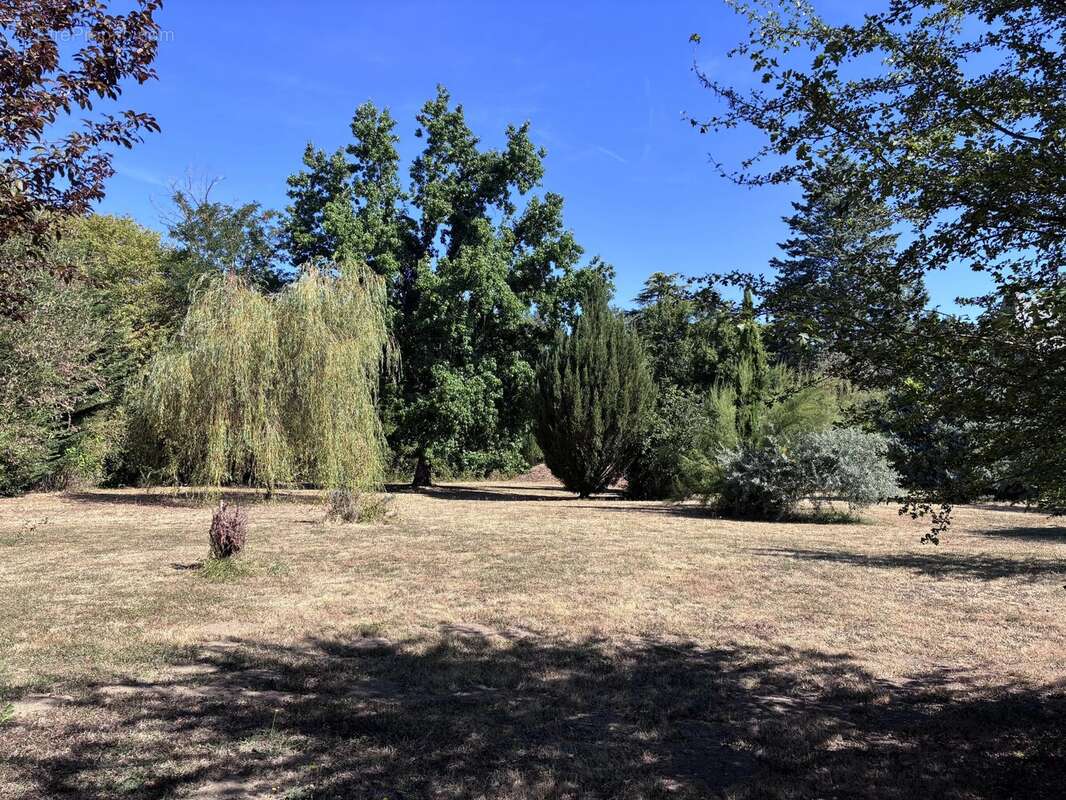 Grande maison de village, maison d'amis, piscine et terrain ! - photo 19