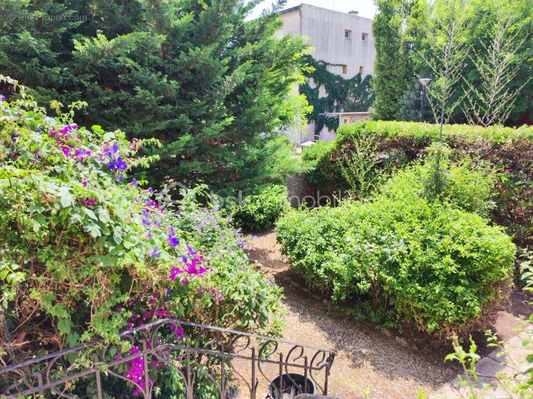 Frontignan maison bourgeoise offrant 7 chambres, en plein coeur de ville jardin 560 m² - photo 2