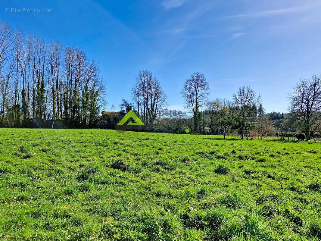 Terrain à PONTARION