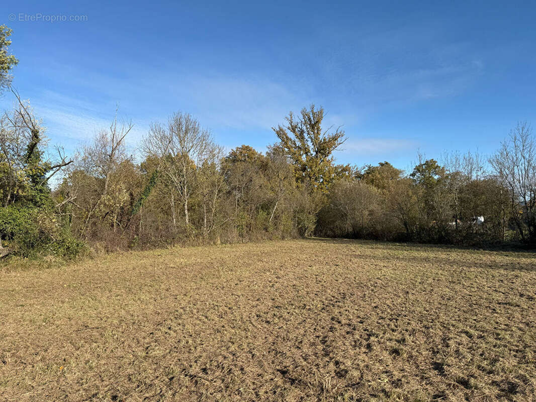 Terrain à ORLEAT