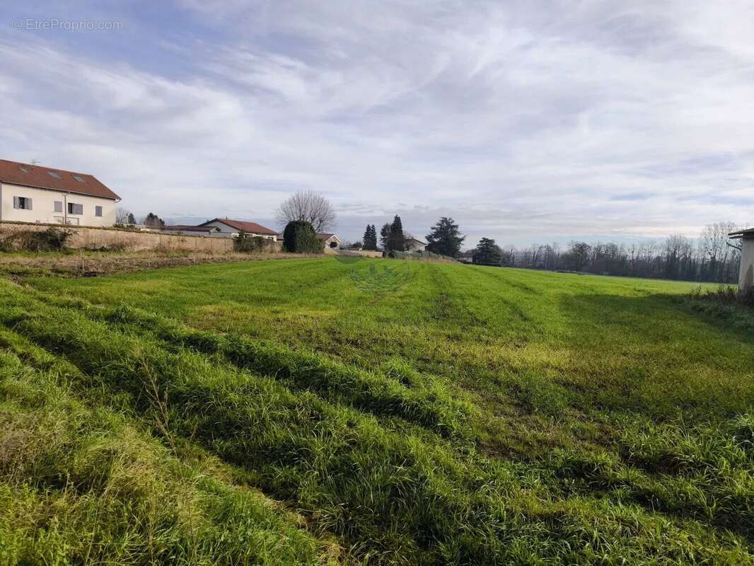 Terrain à SAINT-GEORGES-DE-RENEINS