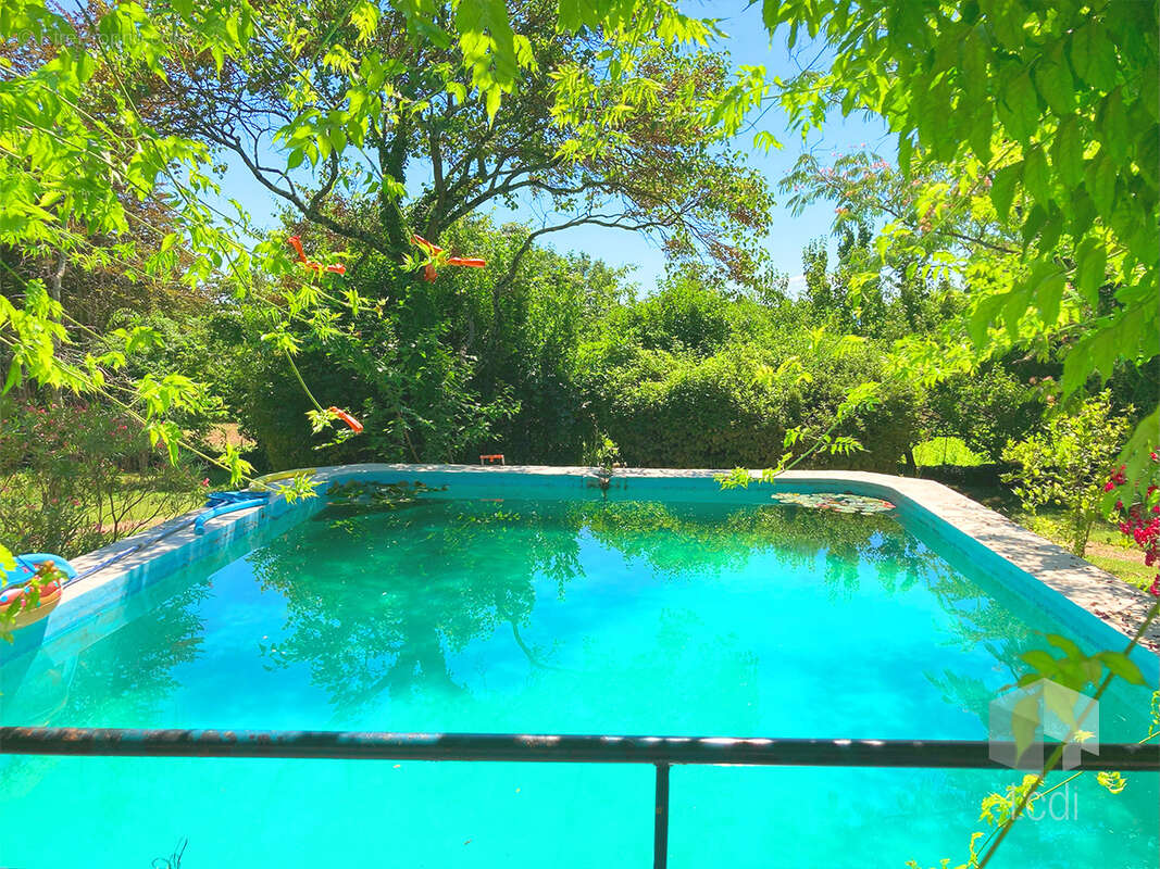 MONTELIMAR, maison 500 m2 avec dépendances - photo 15