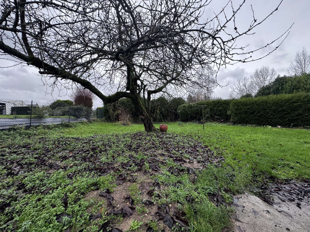 Maison à FREVIN-CAPELLE