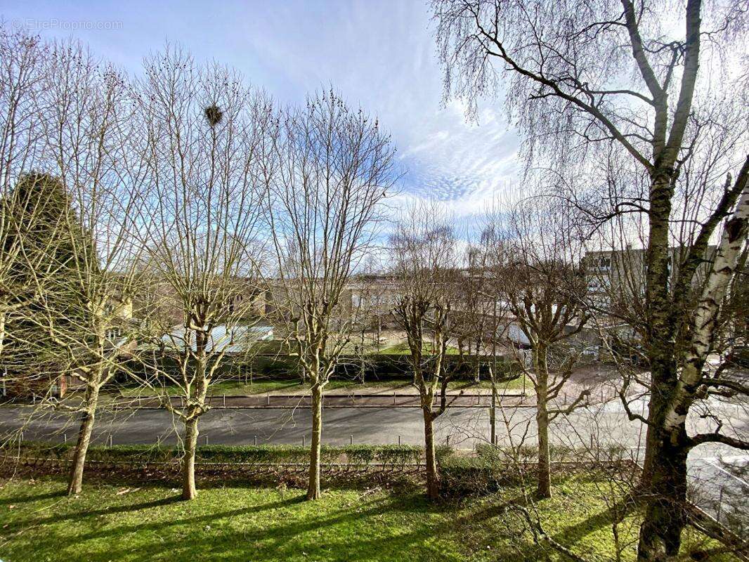 2 pièces de 35,5 m2 92310 Sèvres - photo 5