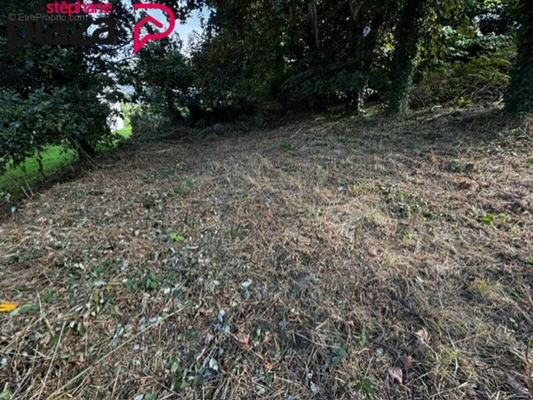 Terrain à DOUARNENEZ