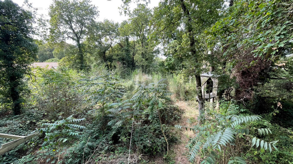 Terrain à SAINT-BREVIN-LES-PINS