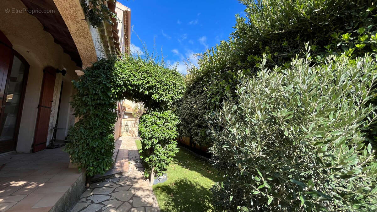 Maison à FRONTIGNAN