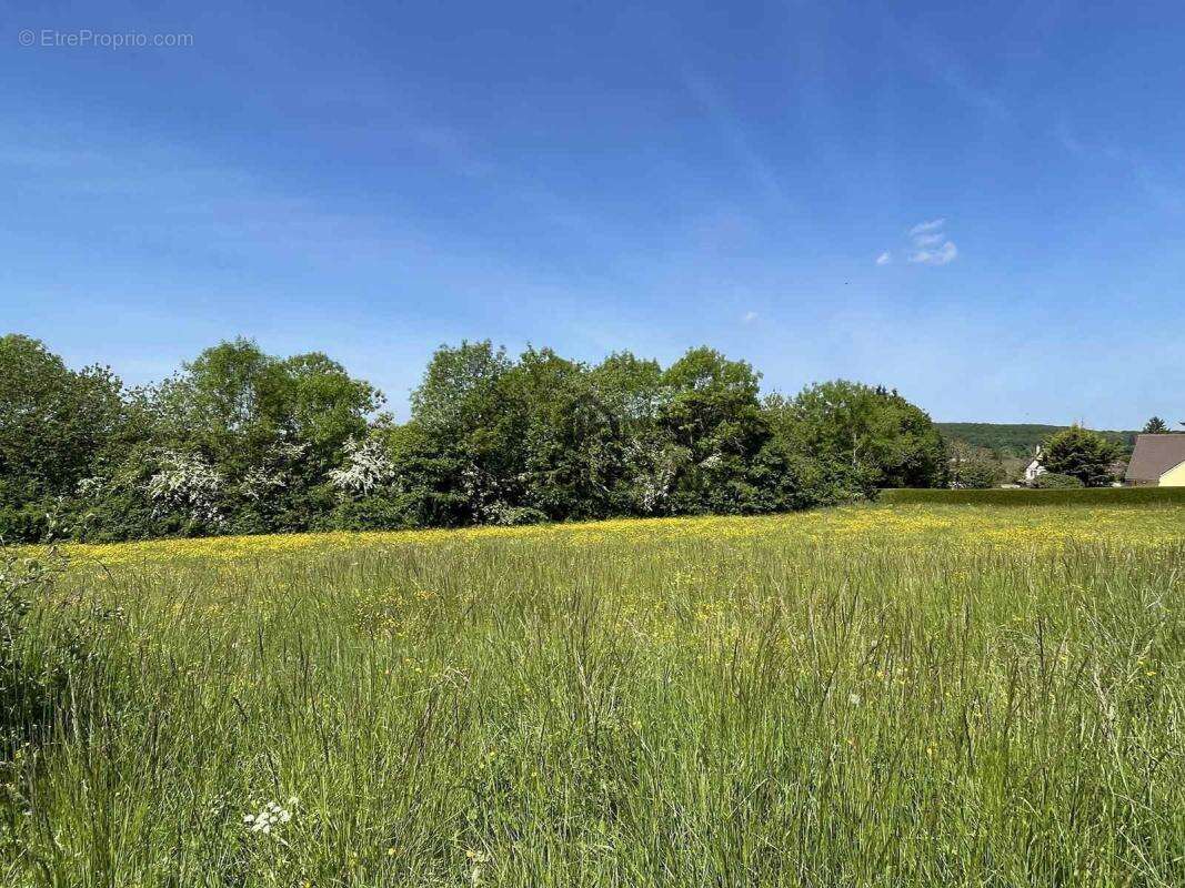Terrain à SAINT-MARTIN-DU-VIEUX-BELLEME