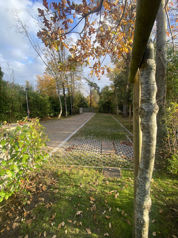 Appartement à LE TOUQUET-PARIS-PLAGE