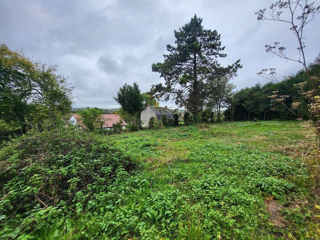 Terrain à vendre - photo 2