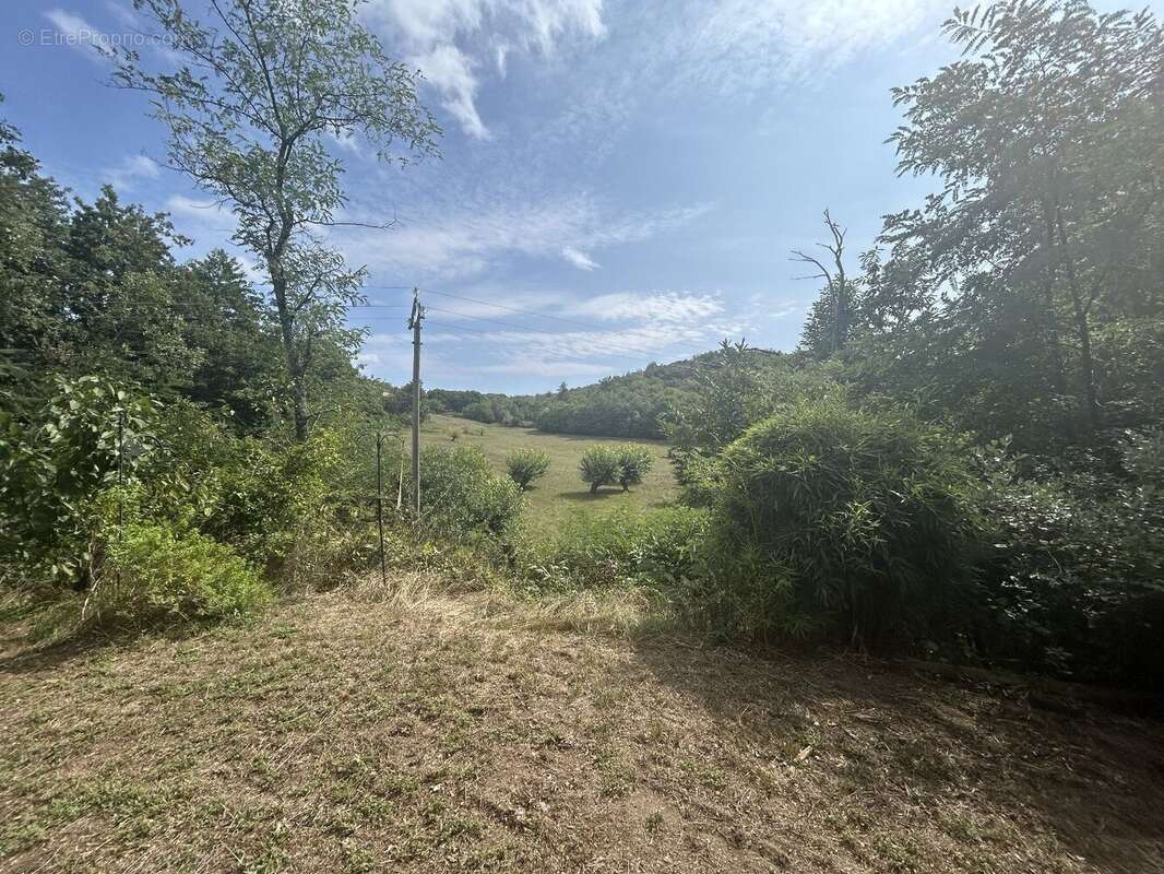 Maison de plain-pied avec dépendances et 1,5ha de terrain - photo 20