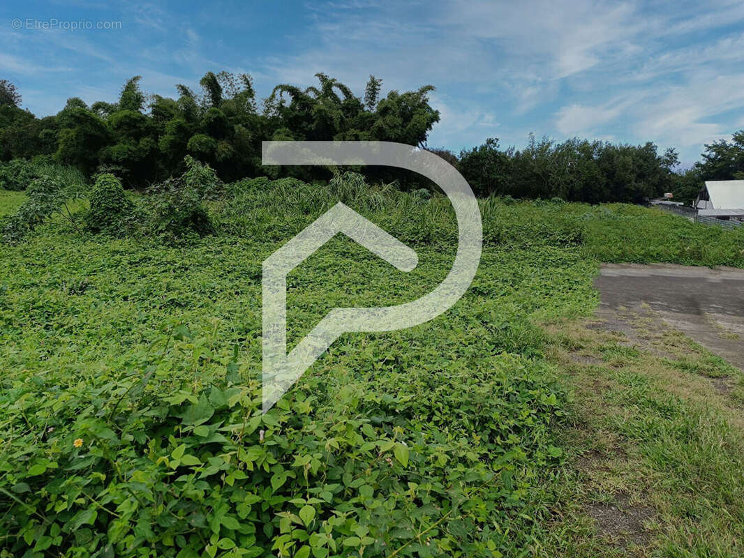 Terrain à LE TAMPON