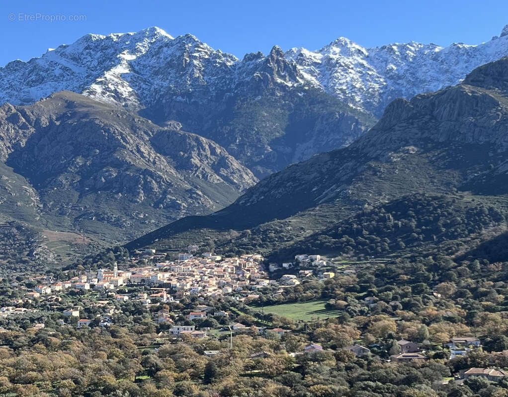Terrain à CALENZANA