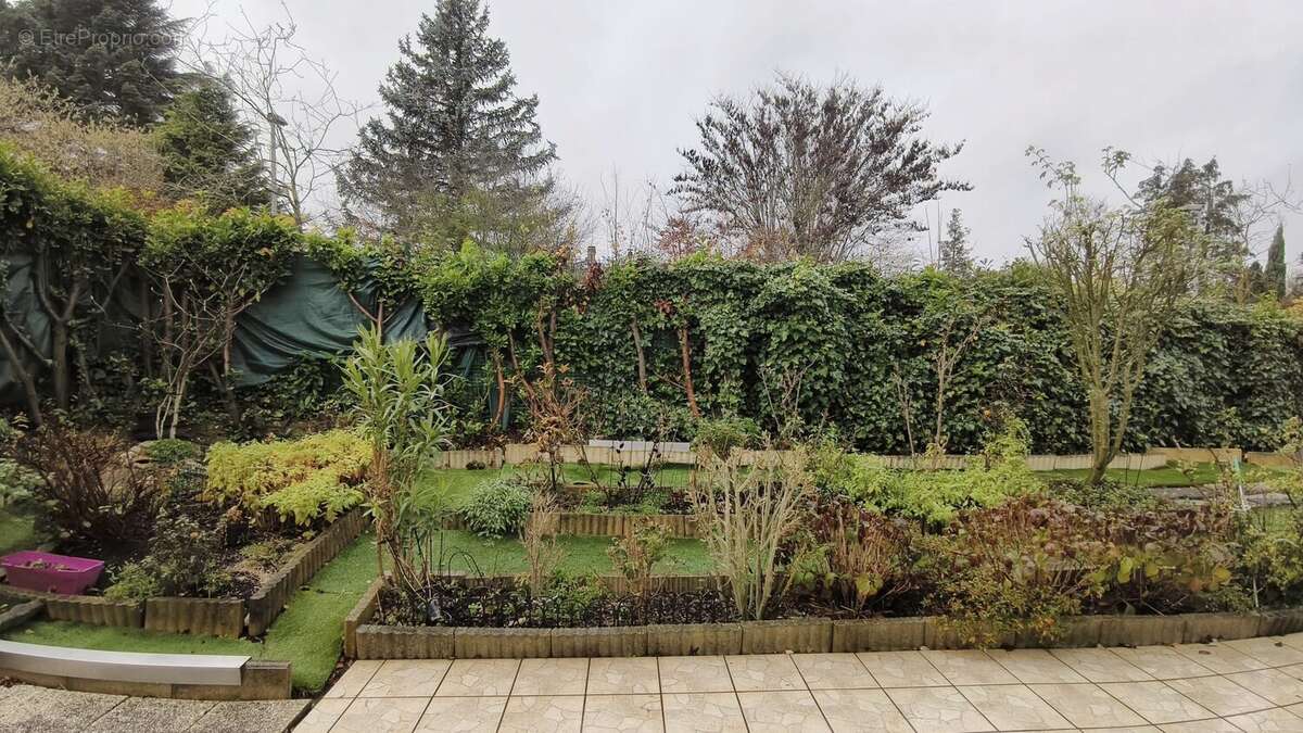 Jardin - Maison à CHAMPS-SUR-MARNE