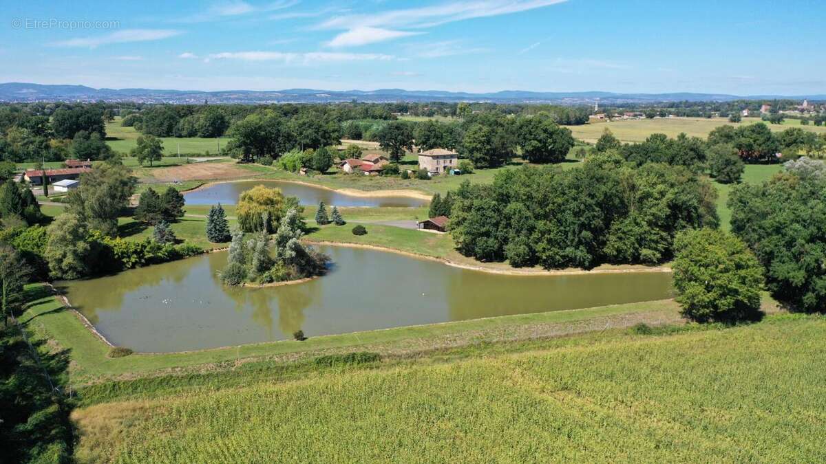 Photo 8 - Terrain à BAGE-LA-VILLE