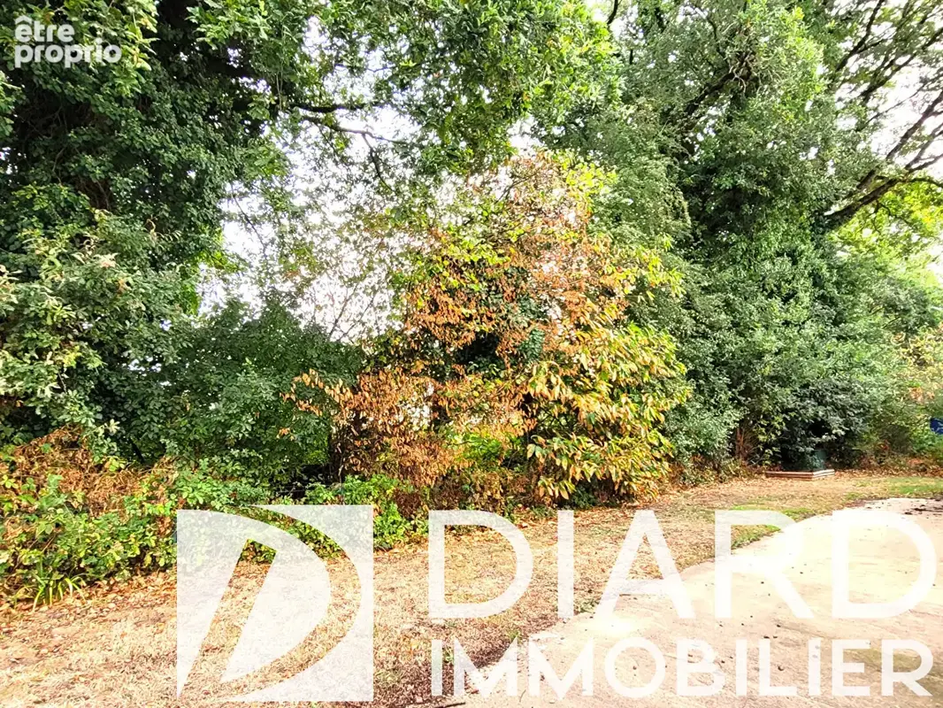 Nouveauté en exclusivité Cabinet Diard Immobilier ! Gosné, maison T5 - photo 12