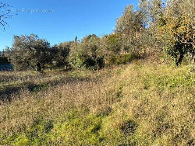 Terrain à DRAGUIGNAN