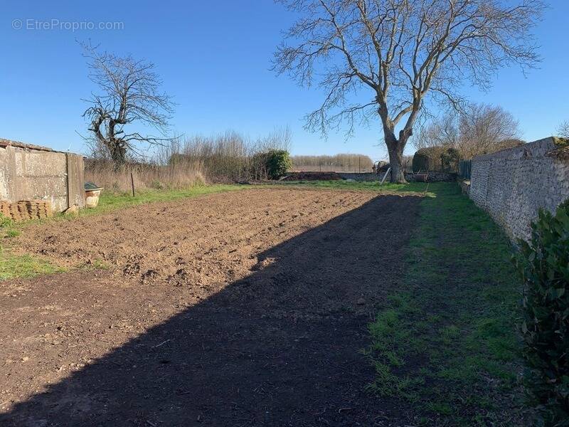 Terrain à SAINVILLE