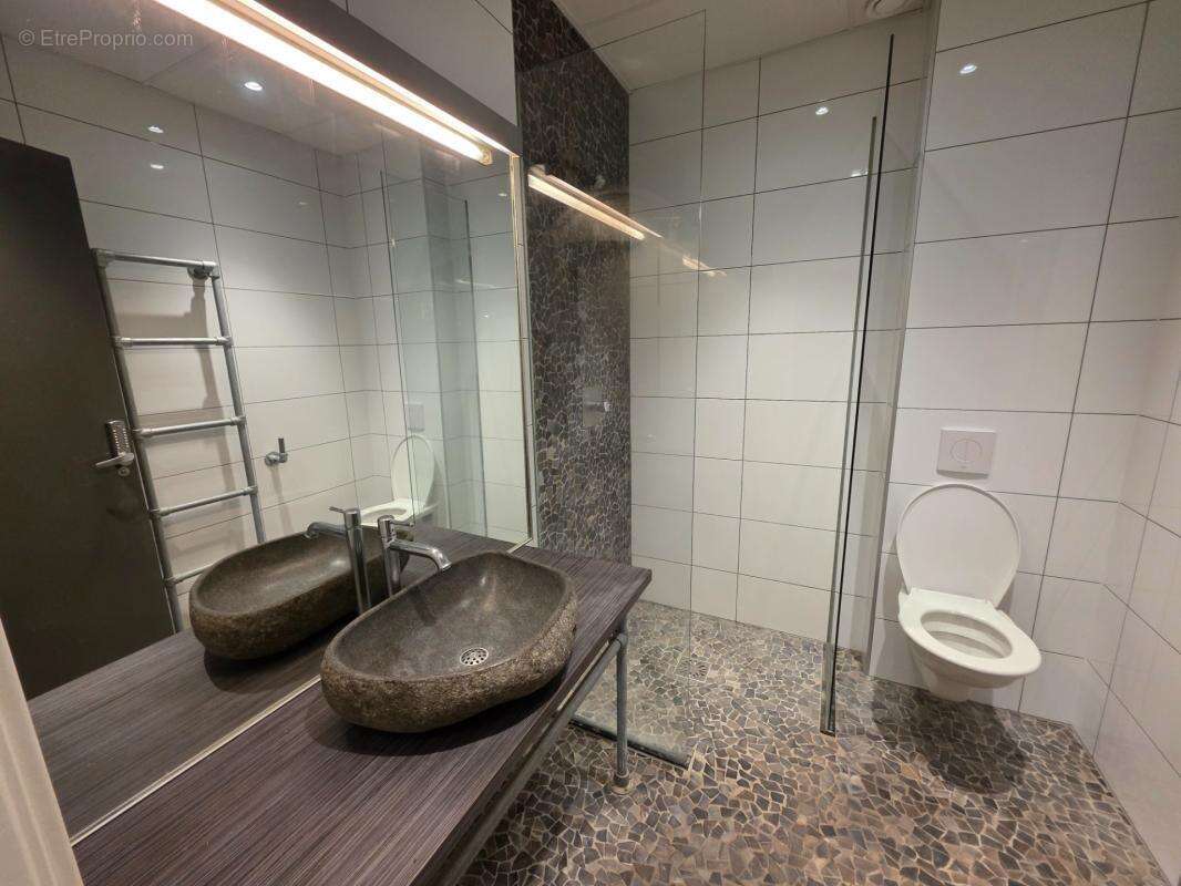 Gros potentiel pour cette tres belle propriete de 19ha avec chateau et batiment de + de 1200 m² - photo 37