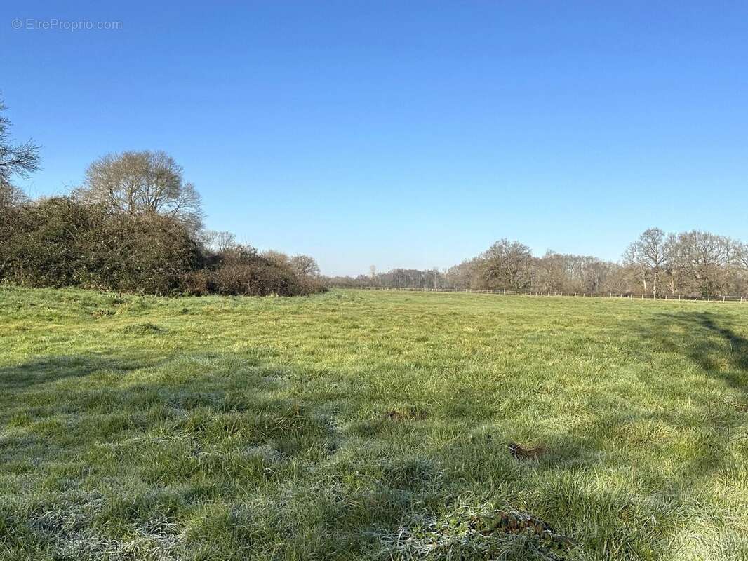 Maison à MONTPON-MENESTEROL