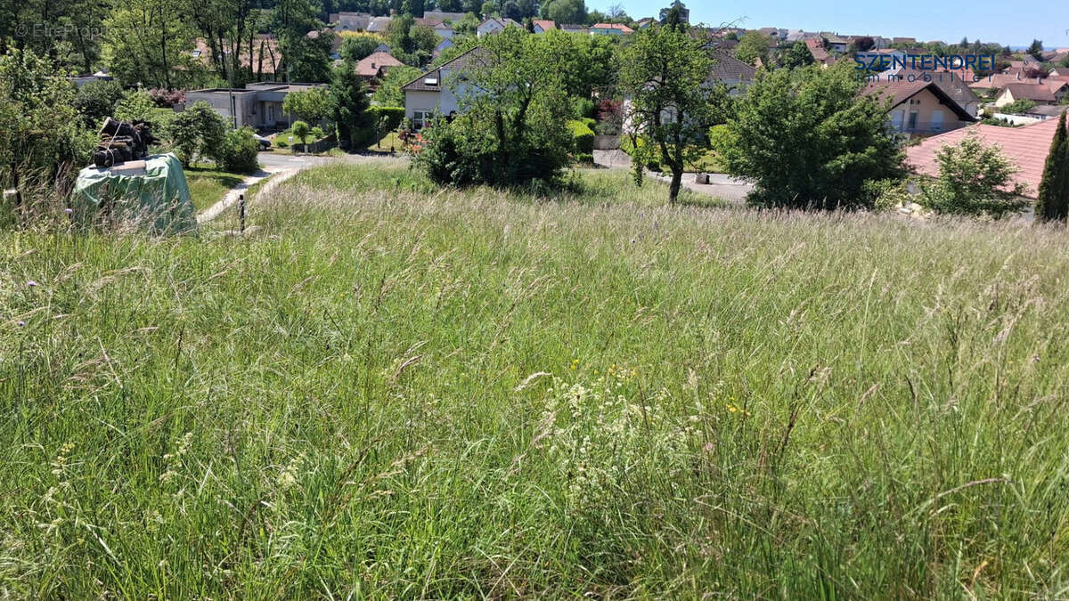 Terrain à AUDINCOURT