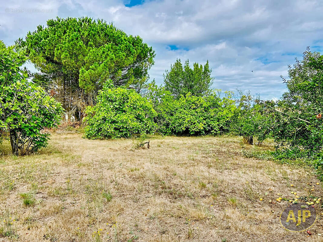 Terrain à bâtir Gaillan En Medoc 2900 m2 - photo 7