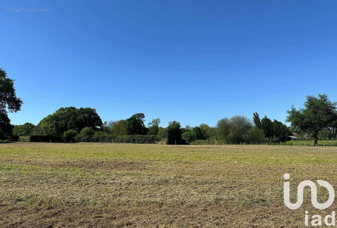 Photo 1 - Terrain à ANGLET