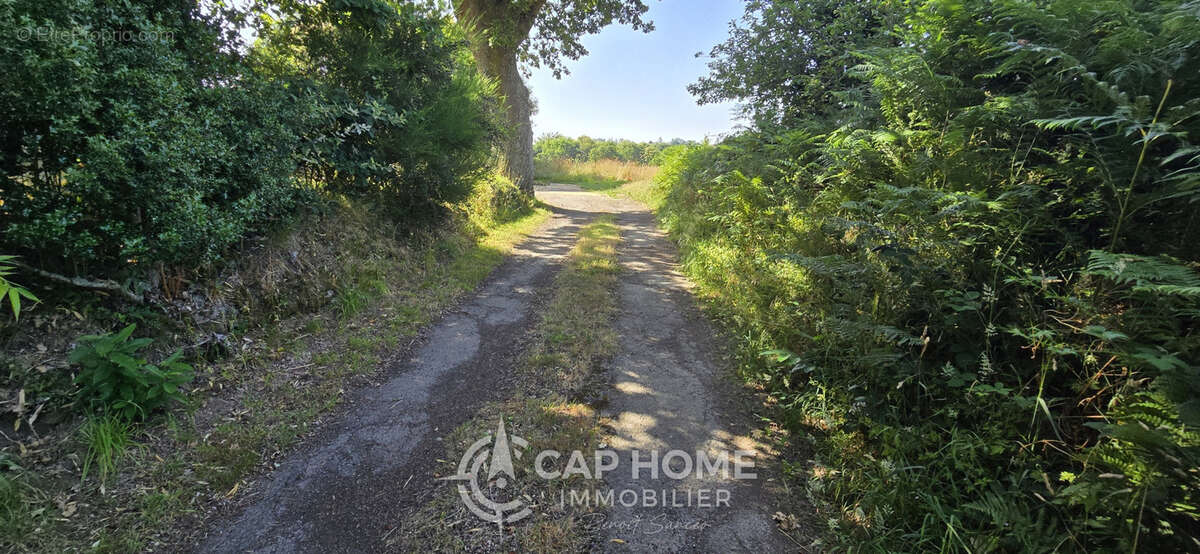 Charme et calme à la campagne ! - photo 13