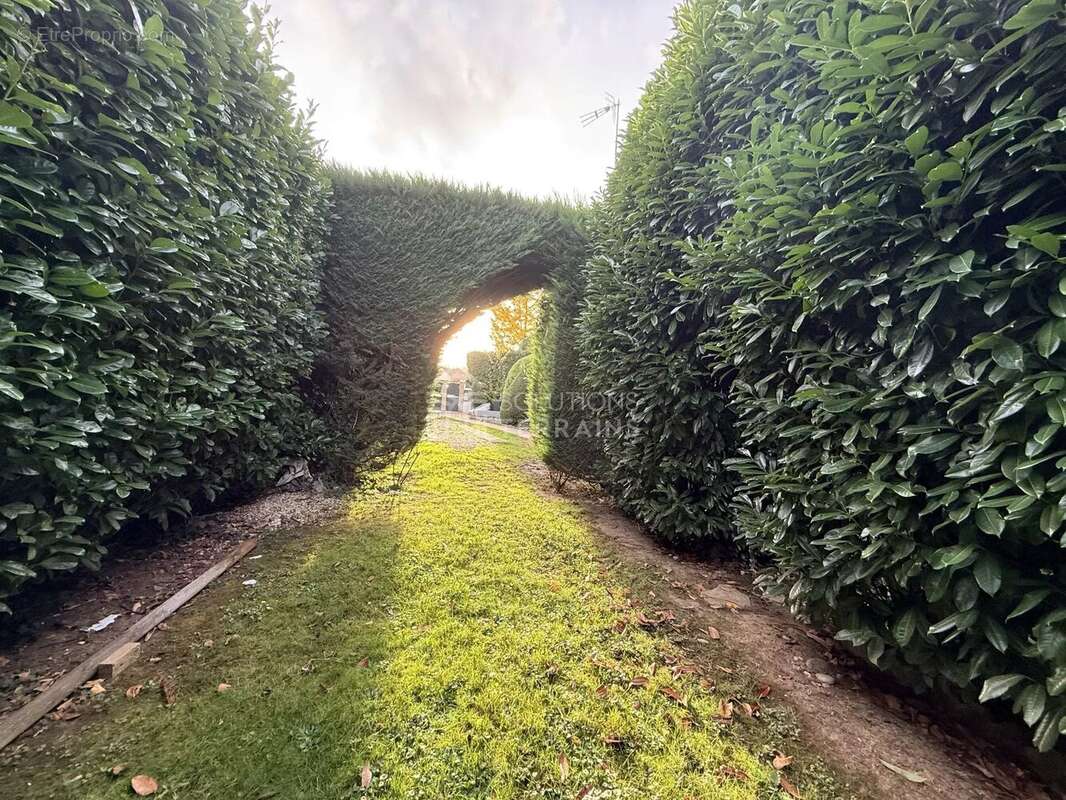 Maison à VILLERS-SOUS-SAINT-LEU