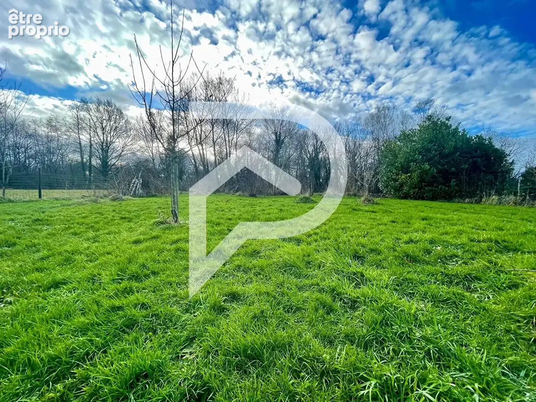 Terrain Buhl Lorraine 1 560m² - photo 4