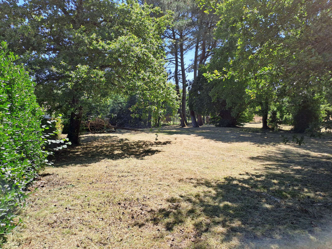 Terrain à bâtir à vendre à LÉOGNAN - photo 6