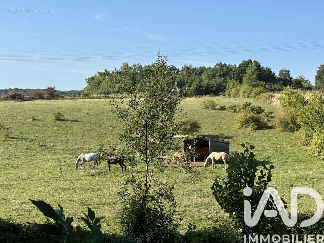 Photo 8 - Terrain à SAULX-LES-CHARTREUX